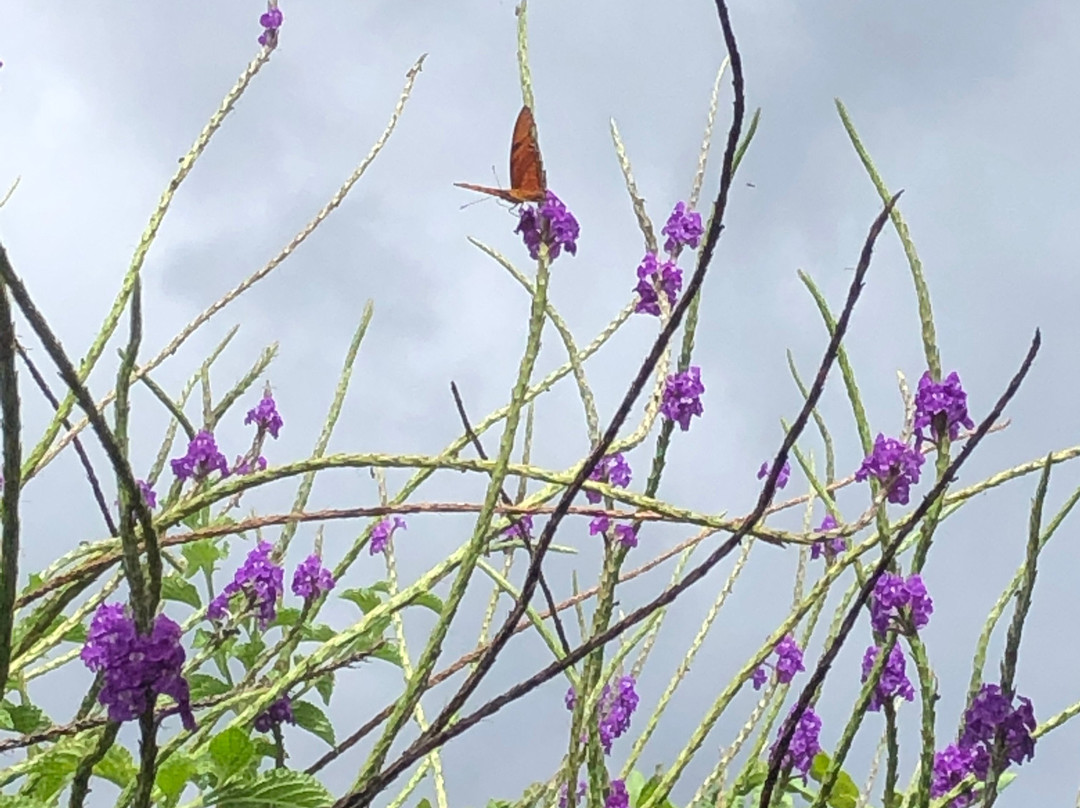 Le Rendez-Vous Hostal Guesthouse主图