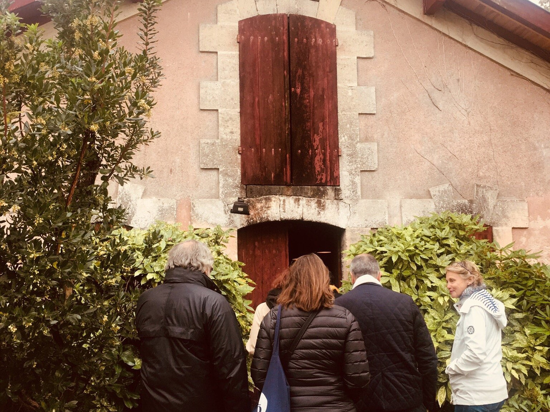 Chateau Baudan景点图片