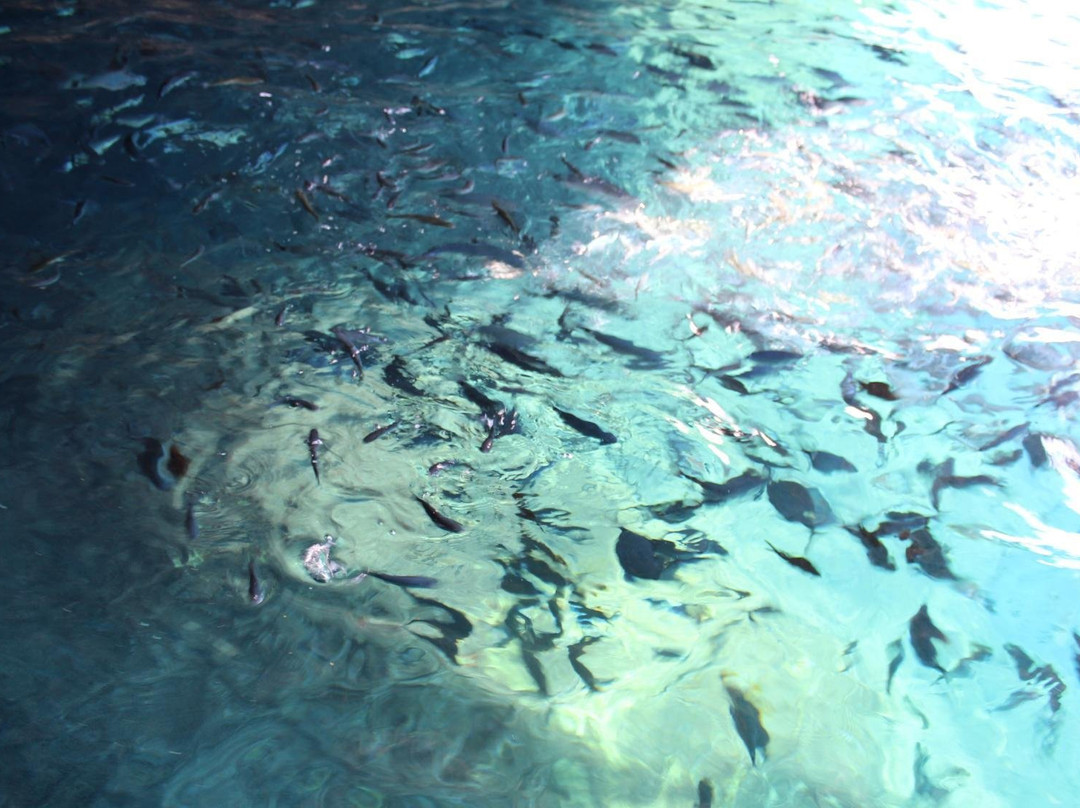 Grotto Boat Tour-科孚必去景点