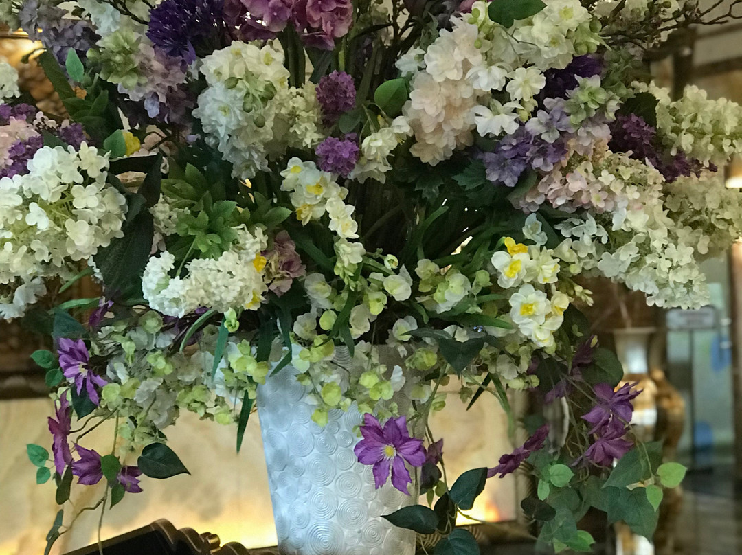 Grand Hotel Vidgof主图