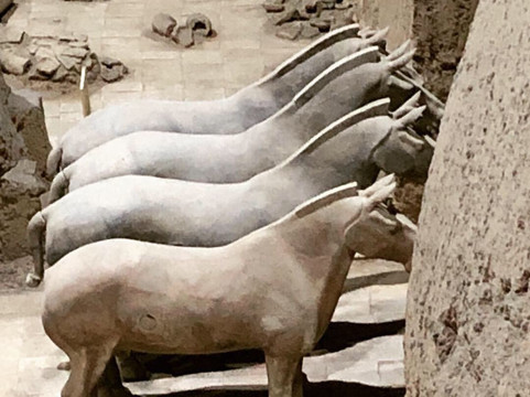 Xian Tours-西安市必去景点