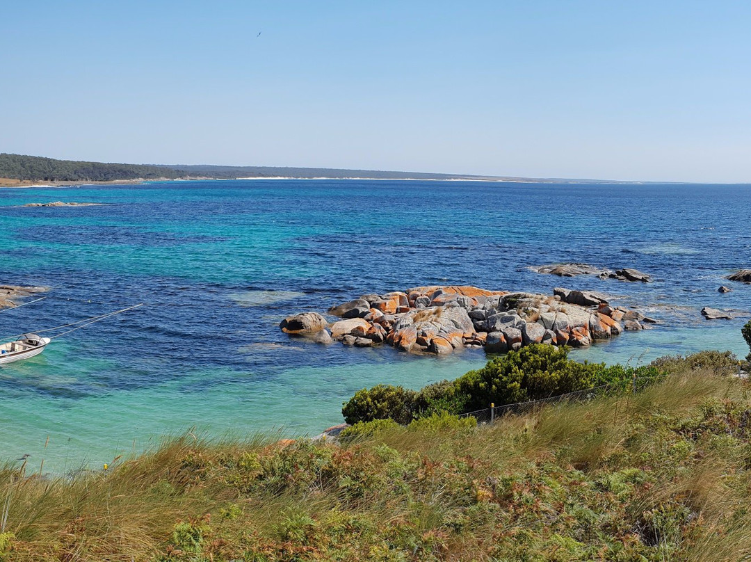 Bay of Fires Bush Retreat