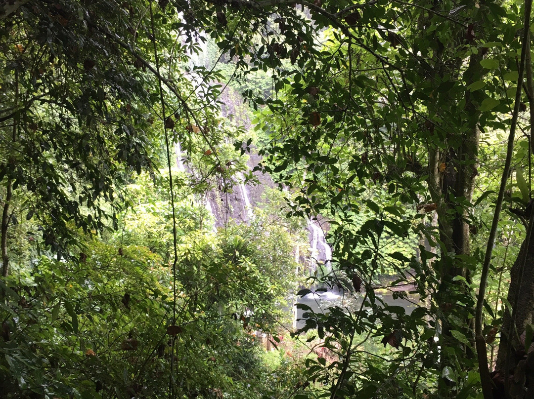 Bali Chauffeur - Day Tours-沙努尔必去景点