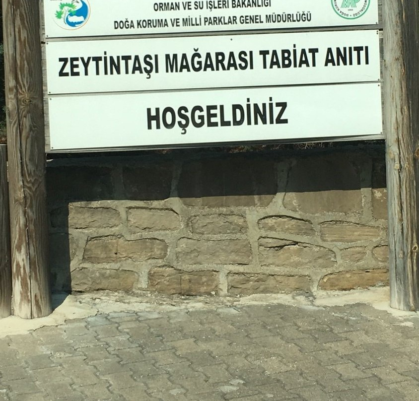 Zeytintası Magarası景点图片