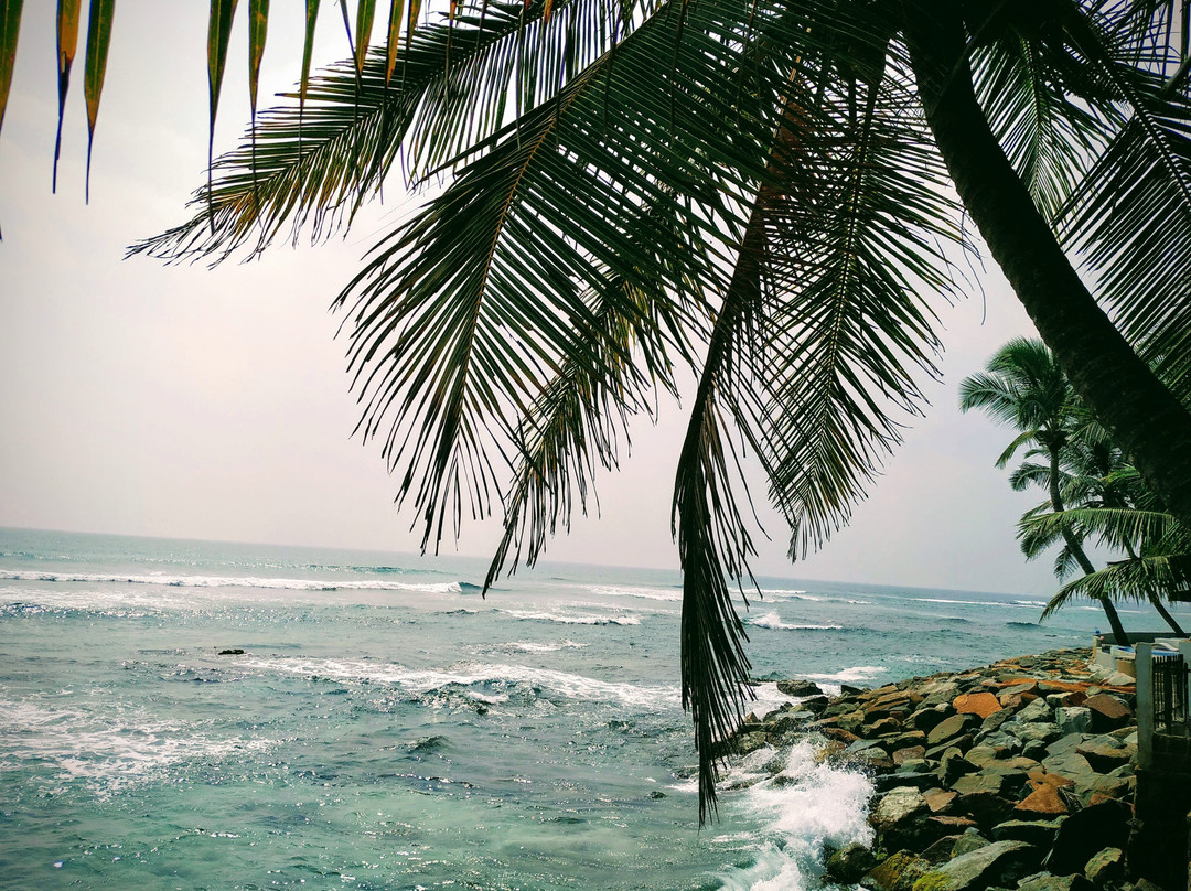 Rainbow Surf Beach主图