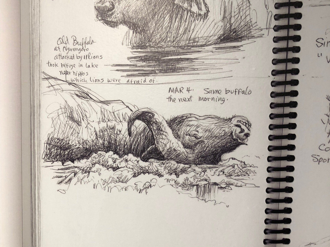 The Bateman Gallery-维多利亚必去景点