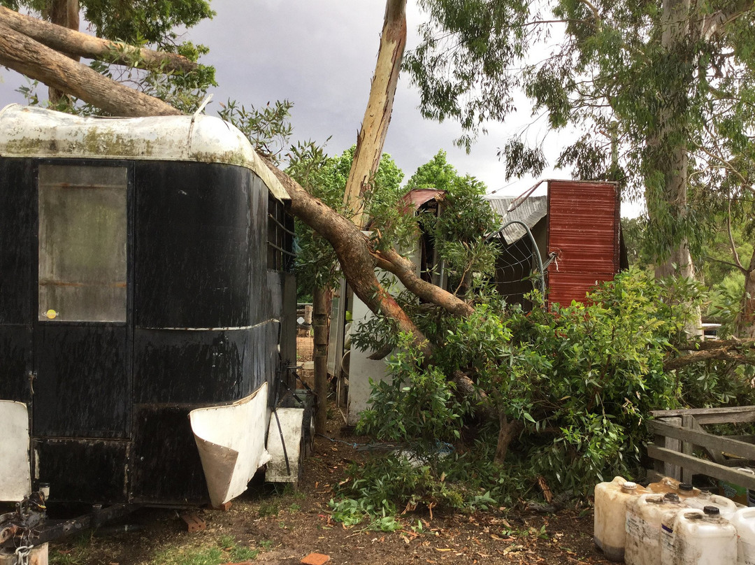 Megalong Valley Farm-Megalong Valley必去景点