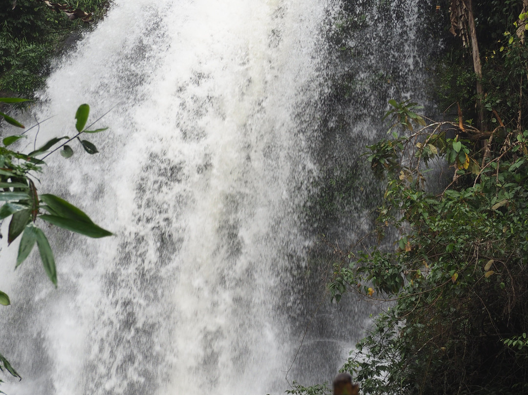 Pha Dok Seaw Waterfall景点图片