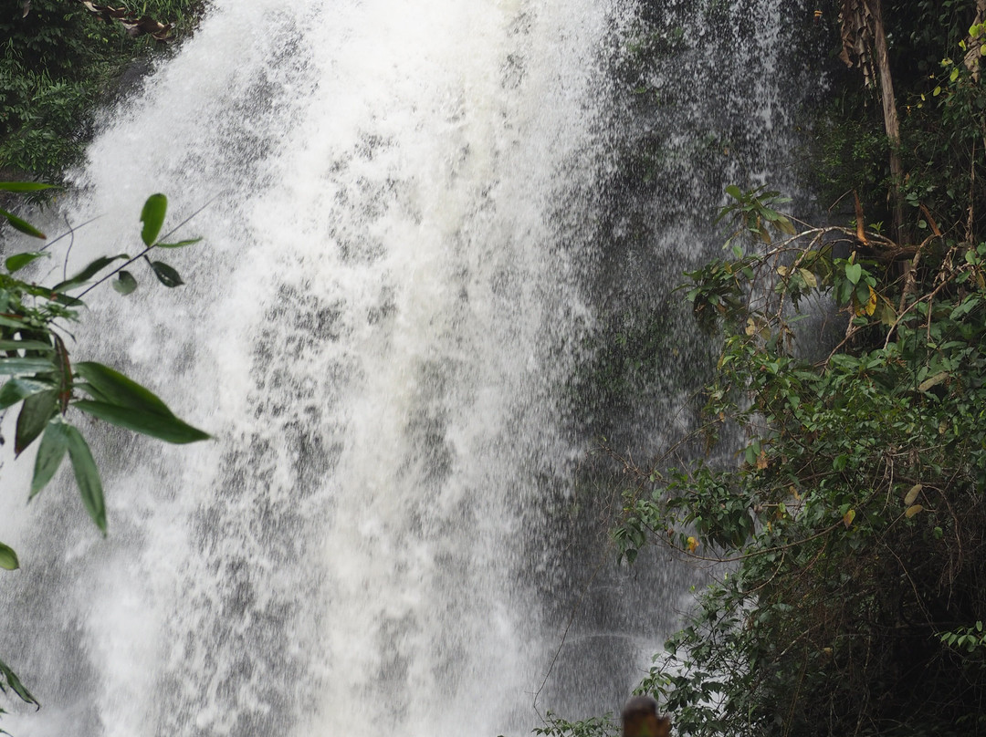 Pha Dok Seaw Waterfall-宗通必去景点