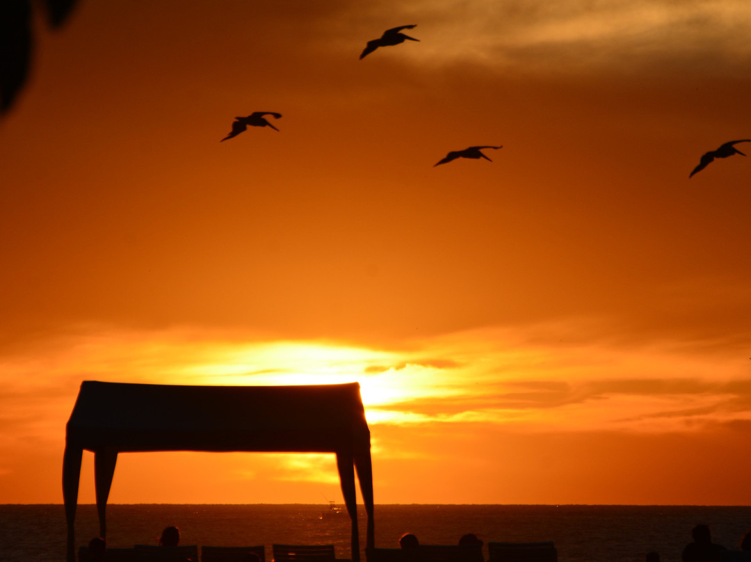 Costa de Oro Beach Hotel主图