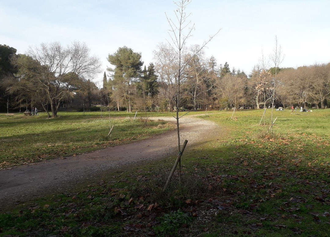 Parc de Vaugrenier景点图片