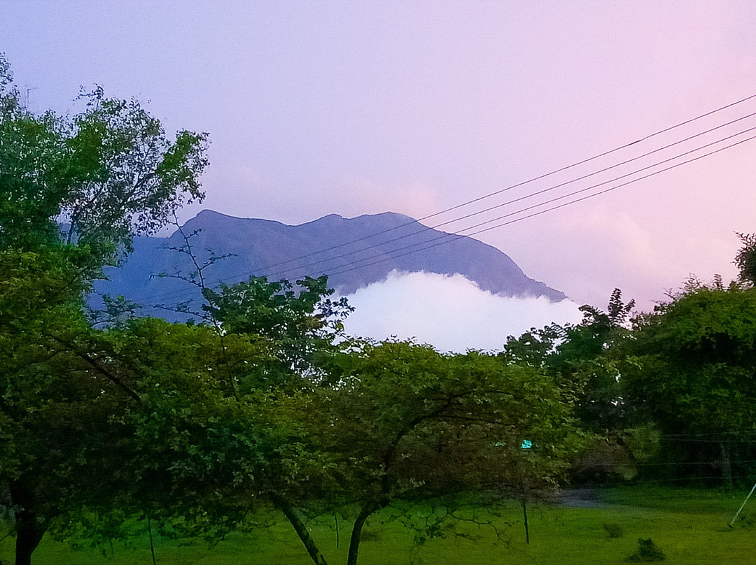 Secret Ivory Farm & Guest House主图