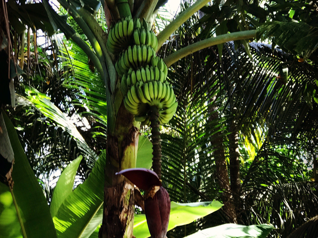 Tinara River Inn主图