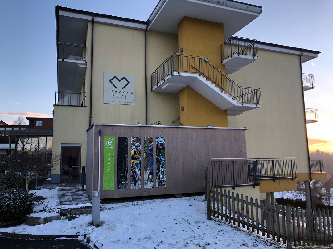 Hotel Liebmann主图