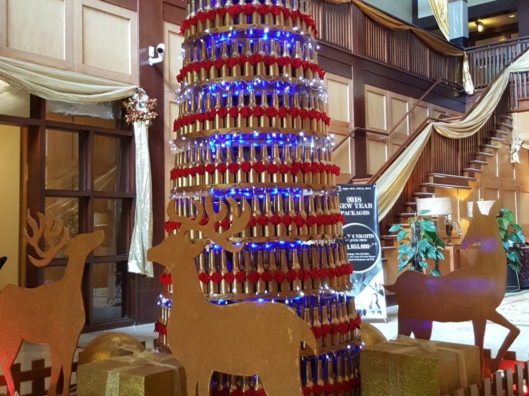 Rimba Papua Hotel主图