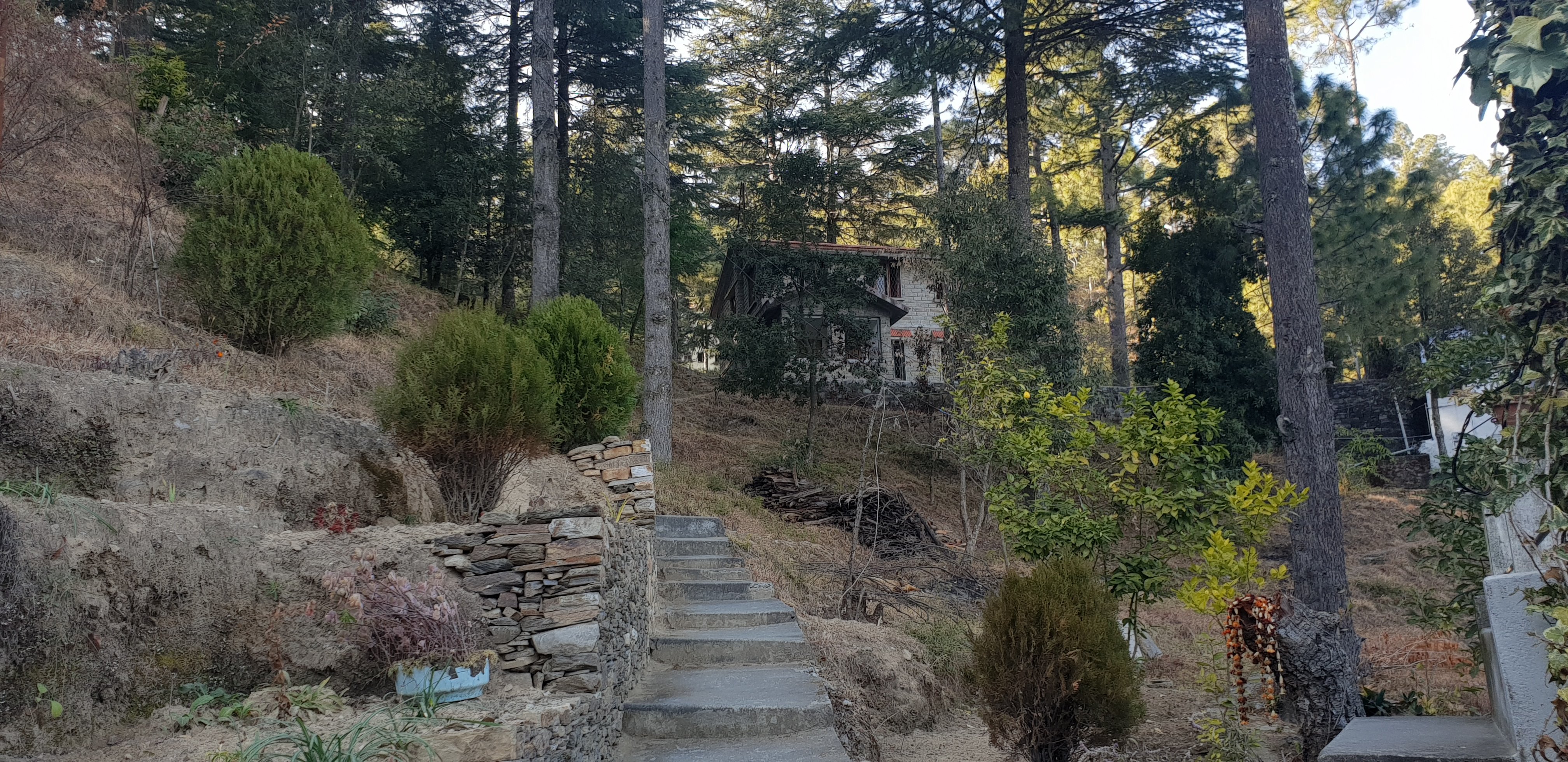 Khims Guest House-官方