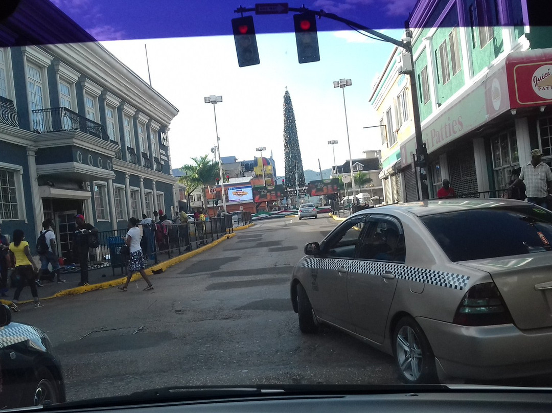 Thelga's Jamaica Tours-蒙特戈贝必去景点