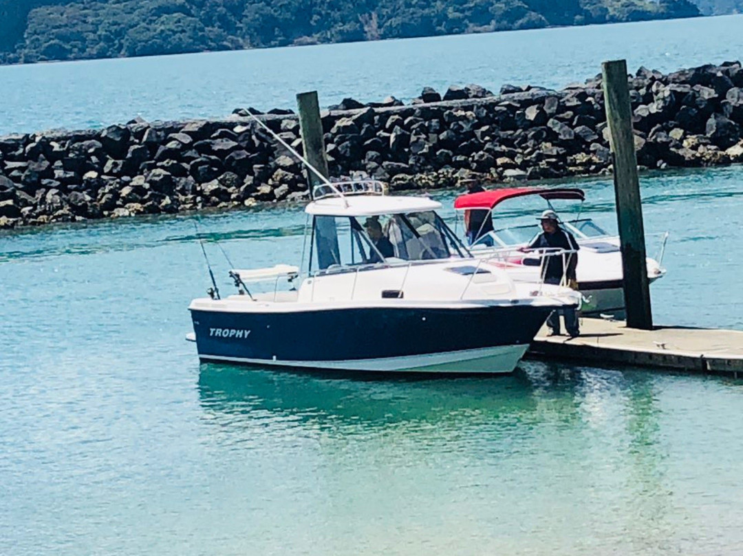 瓦卡瓦湾-奥克兰中心地区必去景点