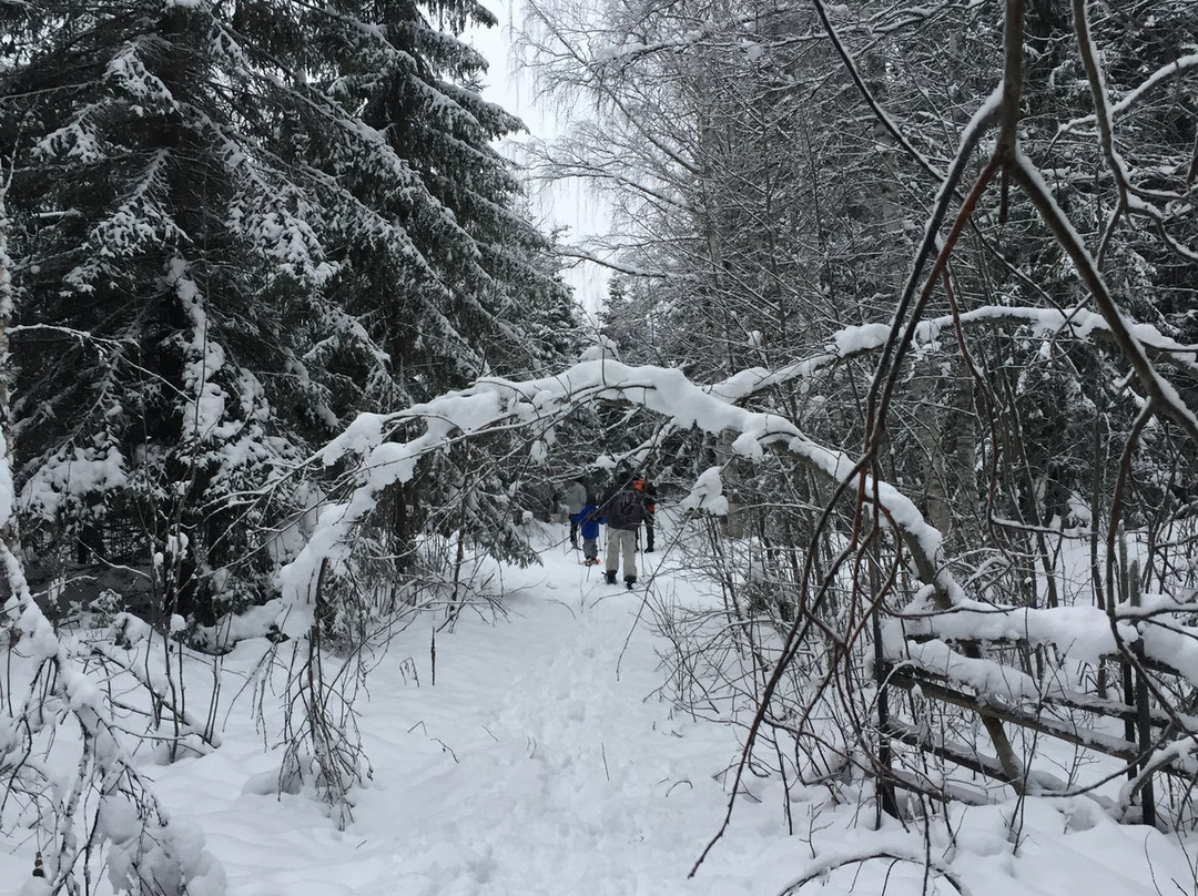 Skelleftea Adventurepark-Skellefteå必去景点