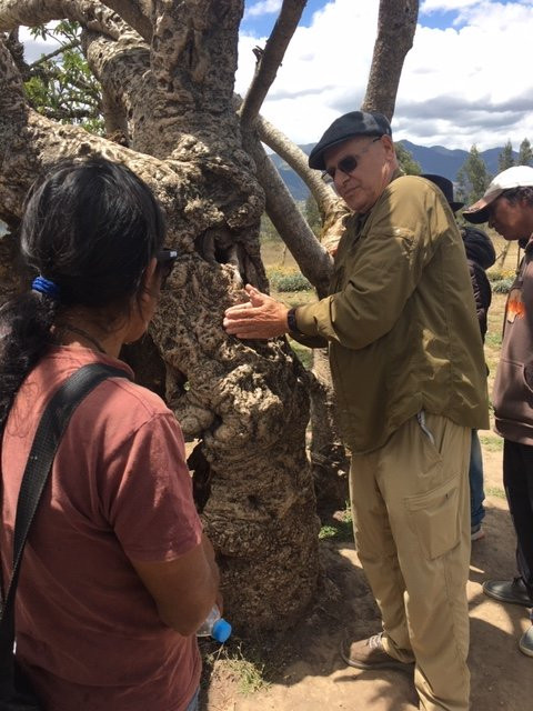 El Lechero-奥塔瓦洛必去景点