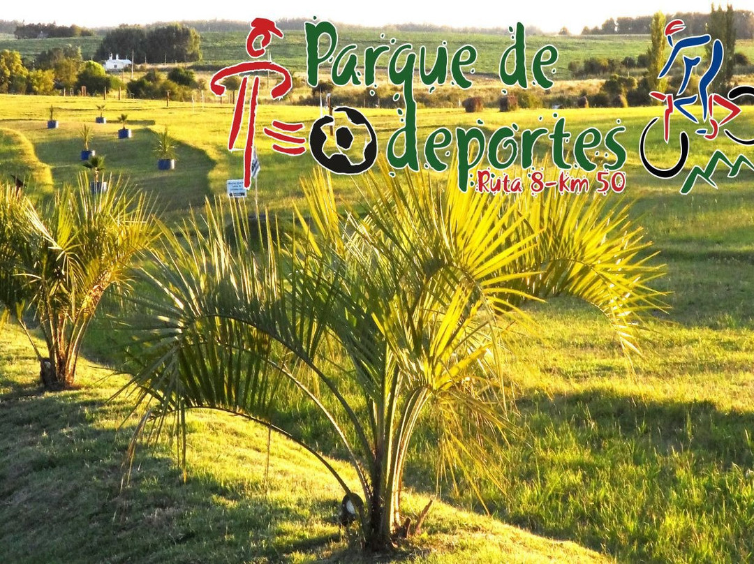 Doctor Francisco Soca旅游攻略图片