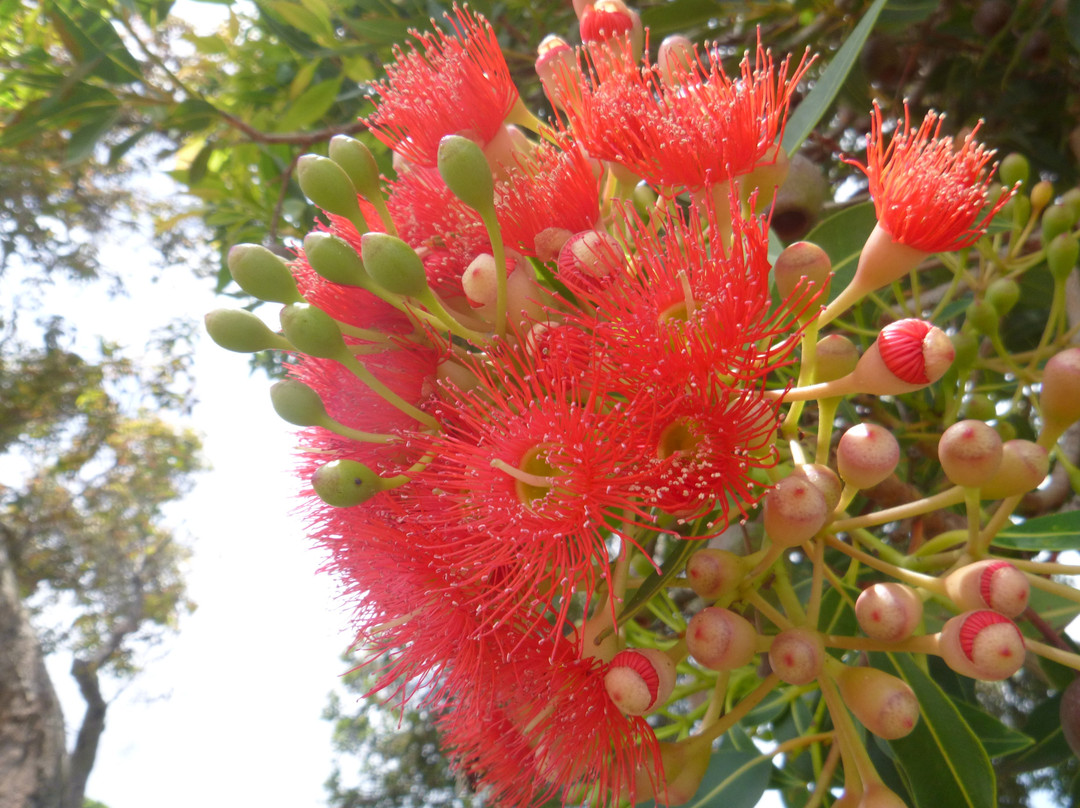 Belvidere Manor Lagoonside Cottages主图