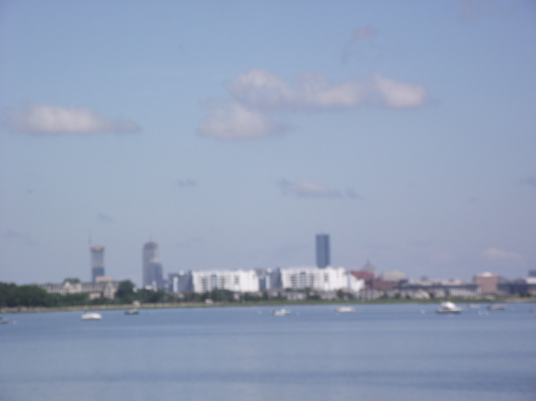 Wollaston Beach-昆西必去景点