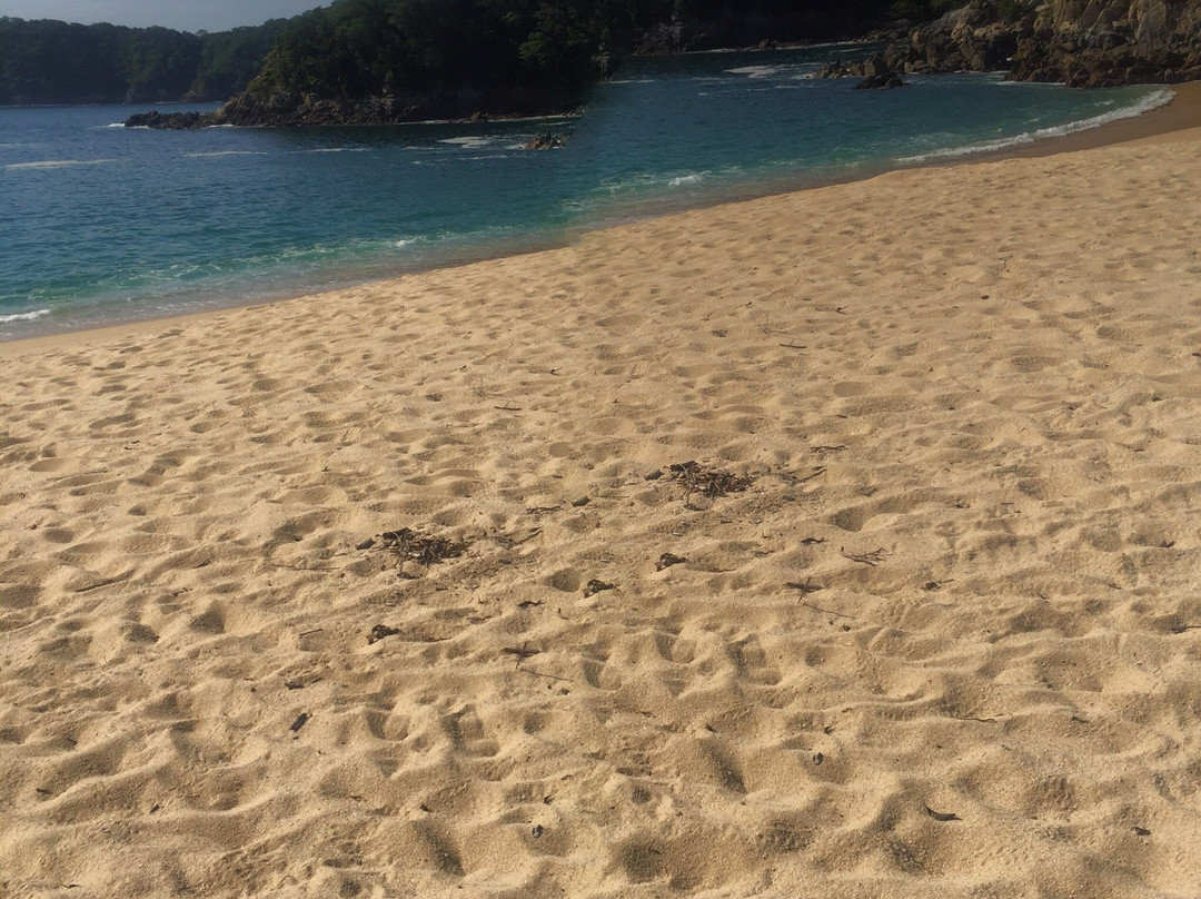 Playa Organo-瓦图尔科必去景点