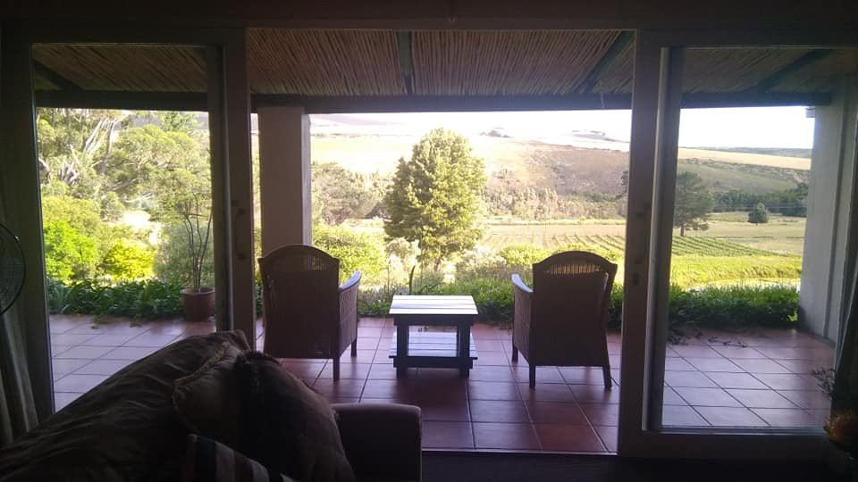 蓝桉国家庄园主图