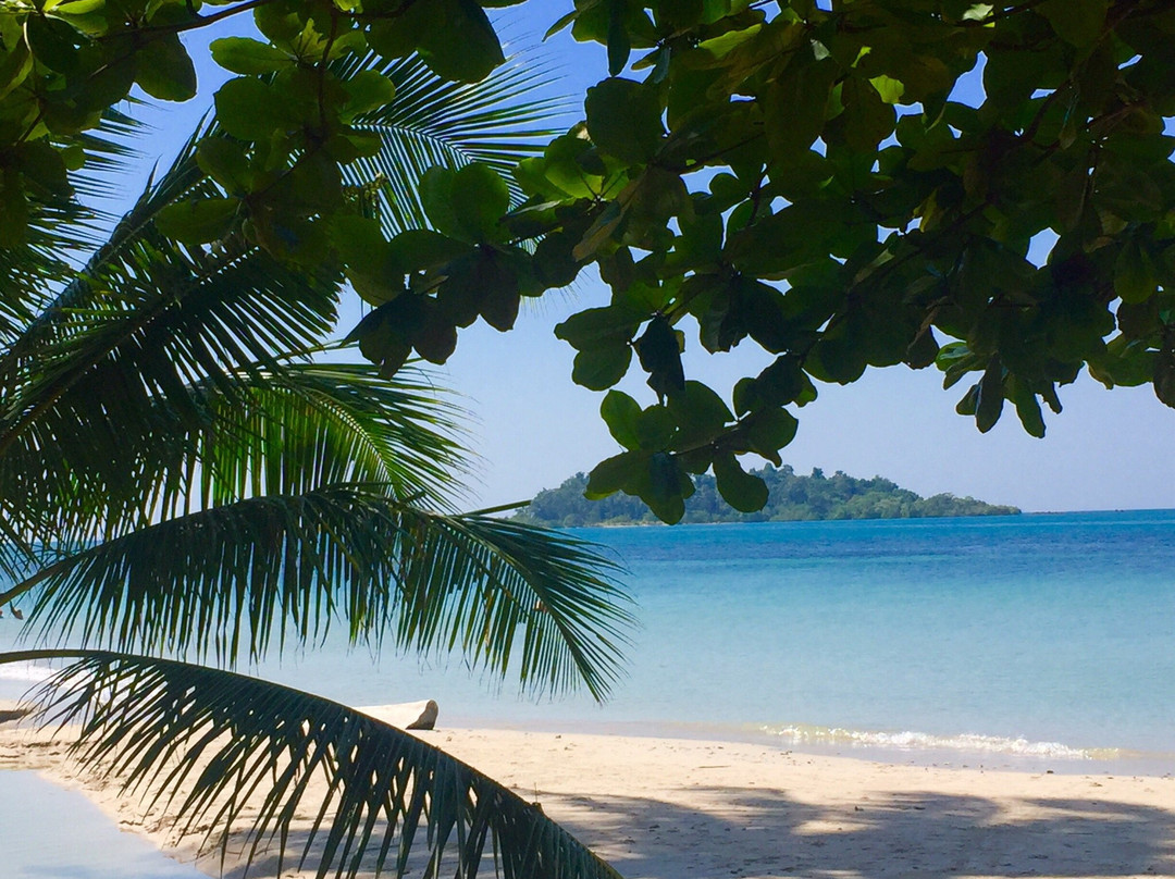 The Green Resort主图