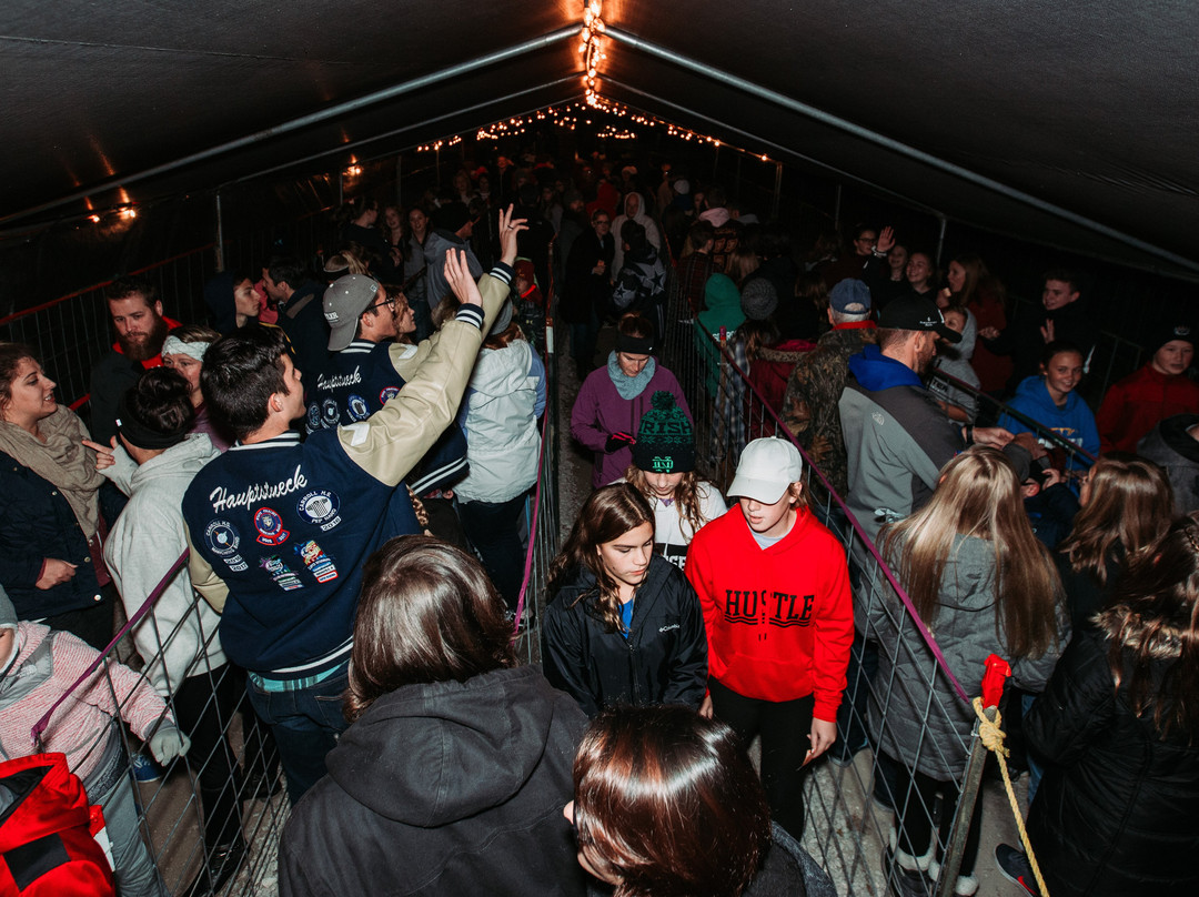 The Haunted Castle and Black Forest-韦恩堡必去景点