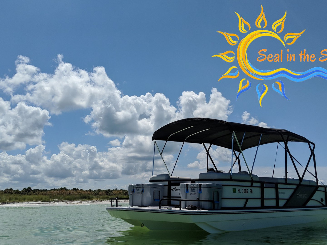 Seal in the Sun Charters-Holiday必去景点