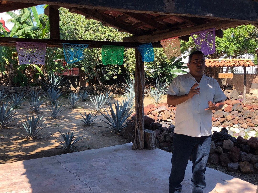 Tequila Mama Lucia-Mismaloya必去景点