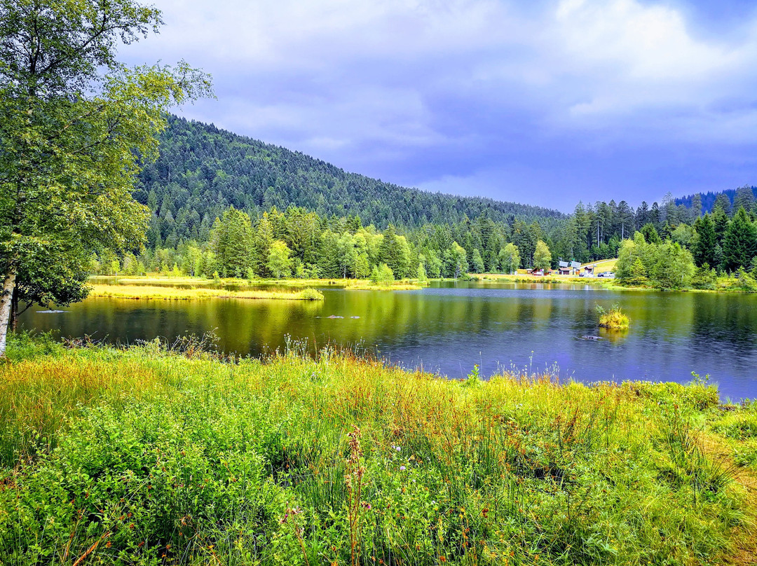 Lac de Lispach景点图片