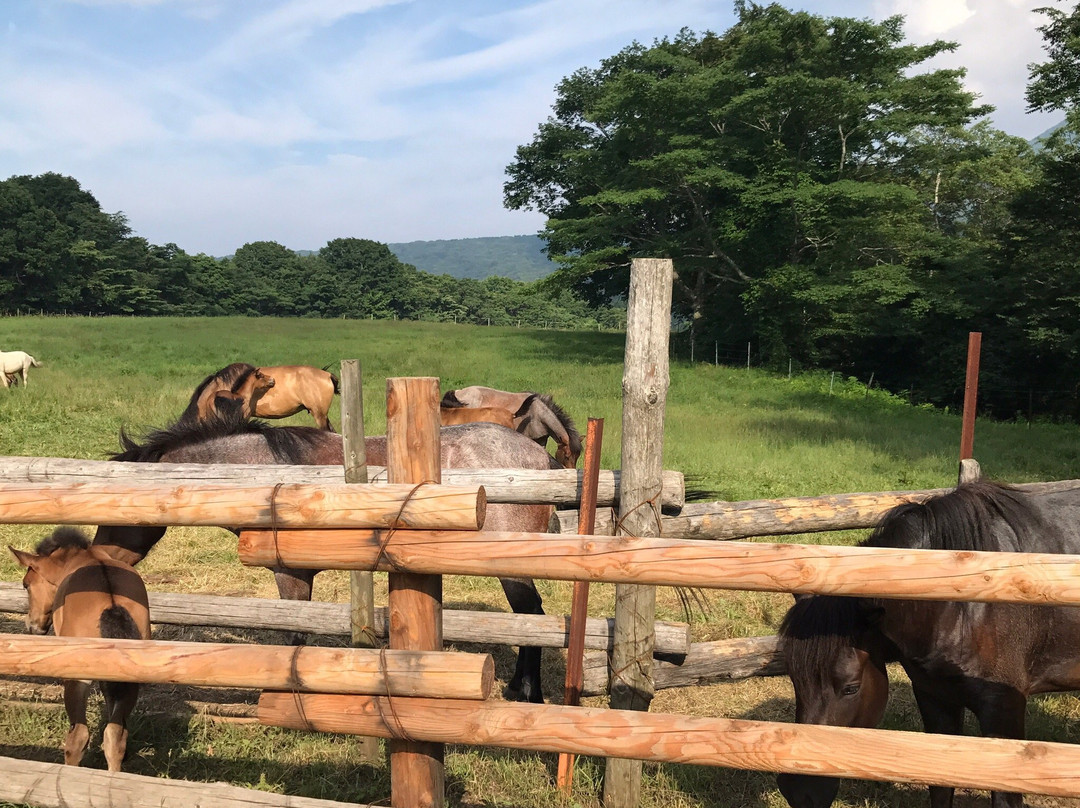 Togakushi Farm-长野县必去景点