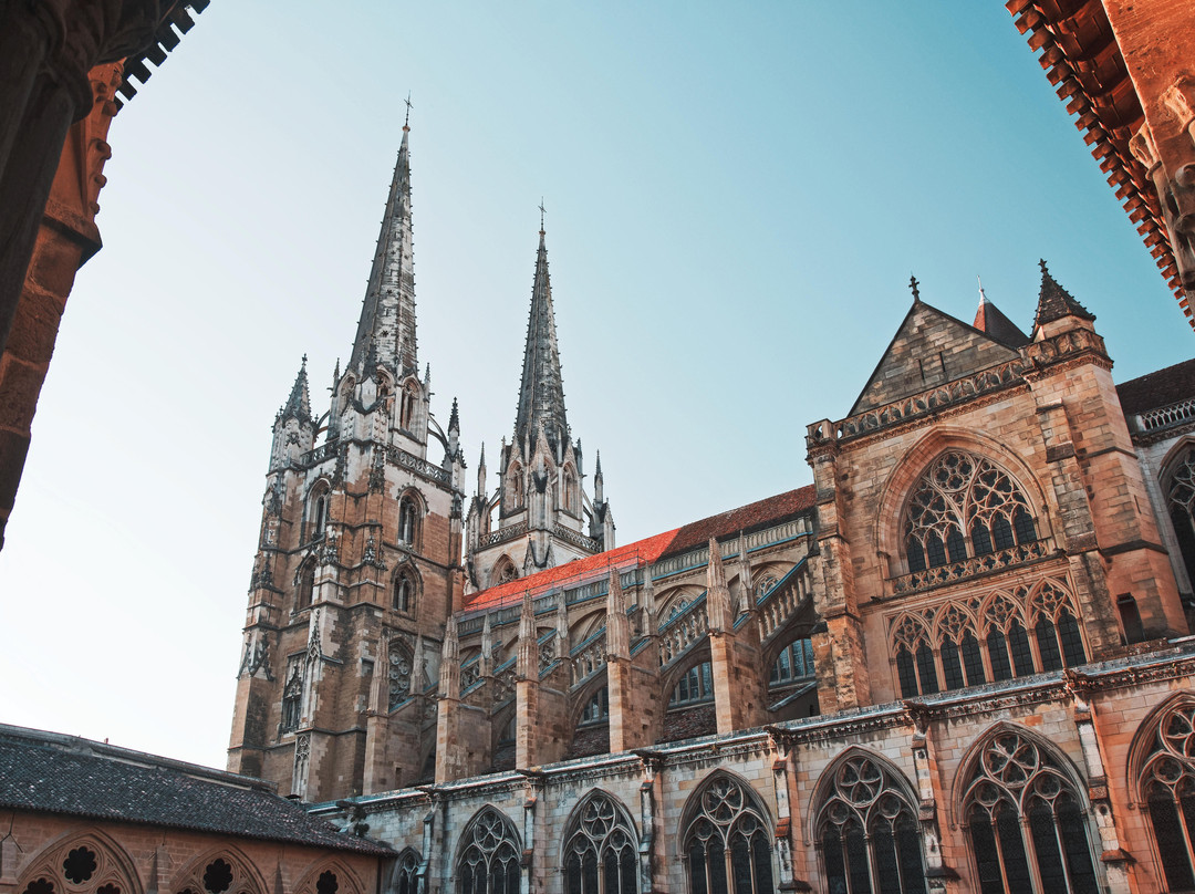 Cathédrale Sainte-Marie de Bayonne景点图片