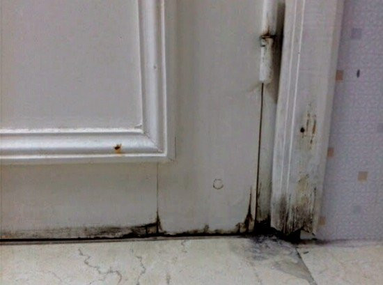 Hotel La Plage主图