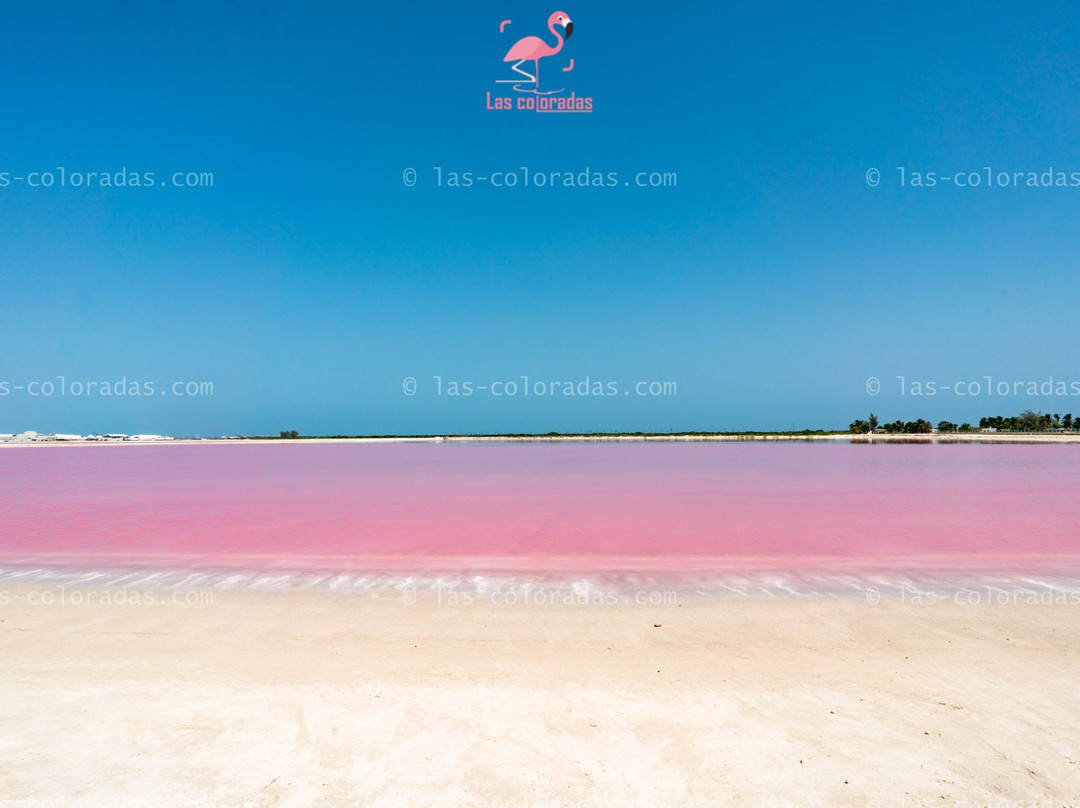Las Coloradas Tours-普拉亚德尔卡曼必去景点