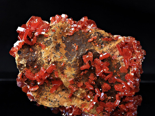 Naturens Mangfold & All Verdens Mynter-奥斯陆必去景点