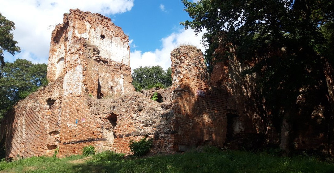 Castle in Milicz景点图片