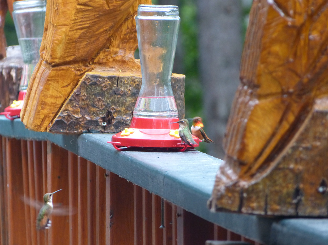 山区河流旅舍主图