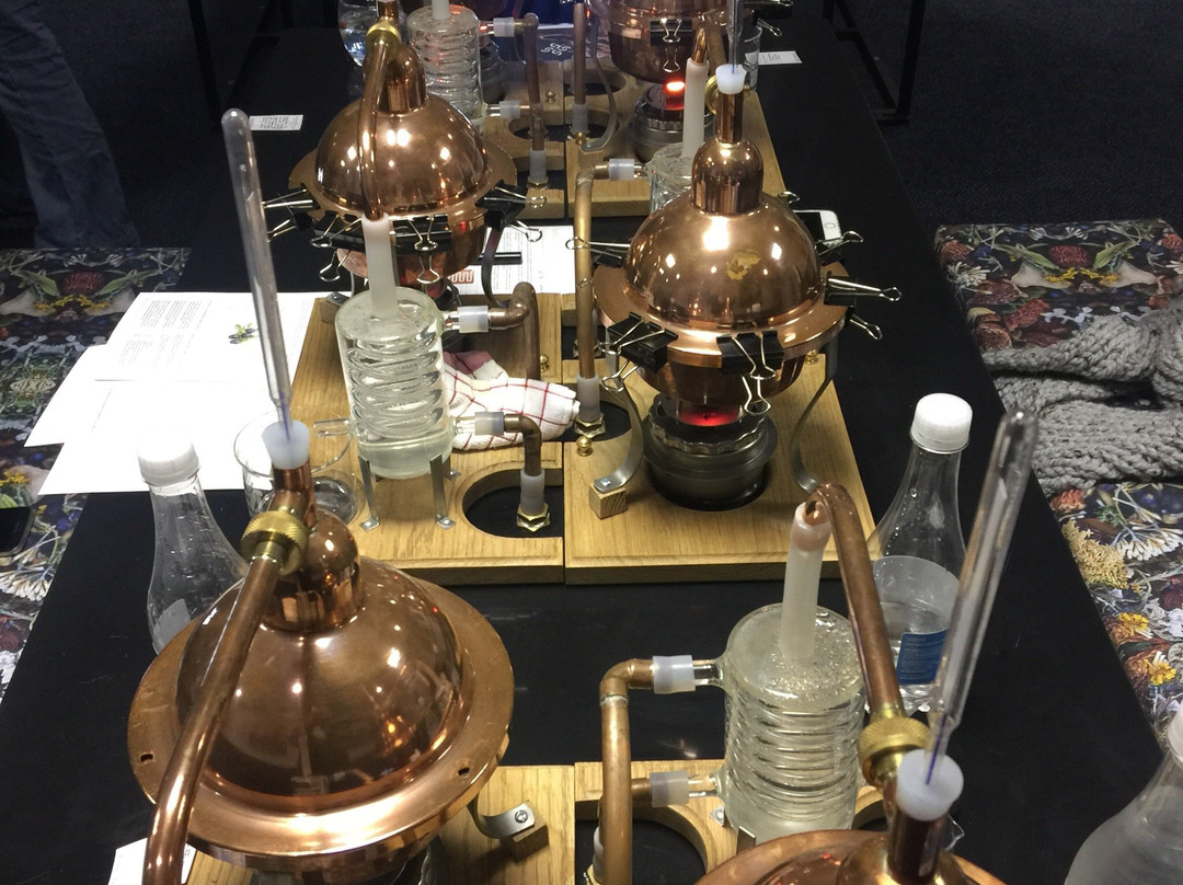 RPRX - Real People Real Xperiences-荒野必去景点