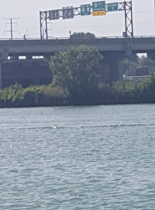 Fox River State Trail-格林贝必去景点