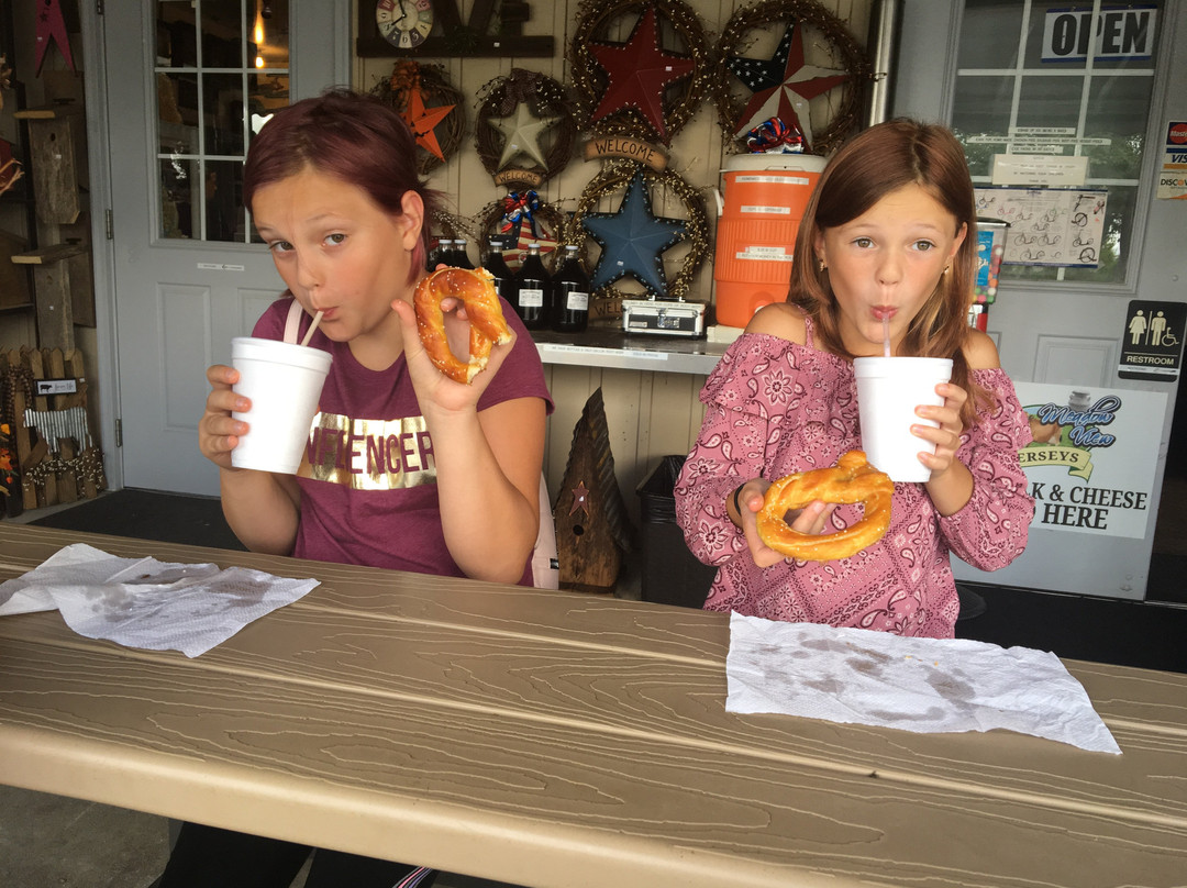 Countryside Road Stand-Ronks必去景点