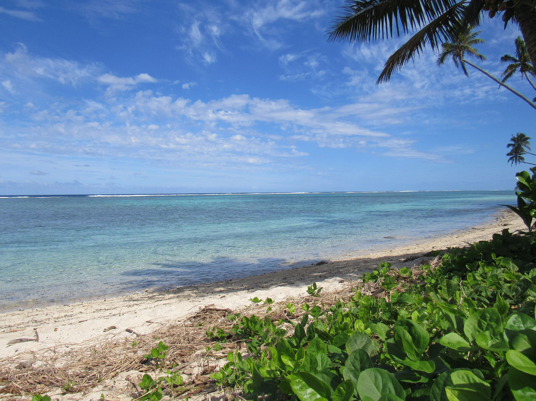 Aroa Beach景点图片