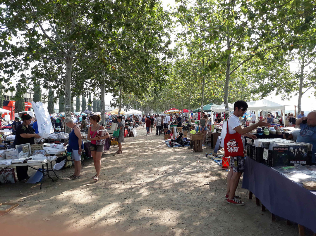 Sant Andreu del Terri旅游攻略图片