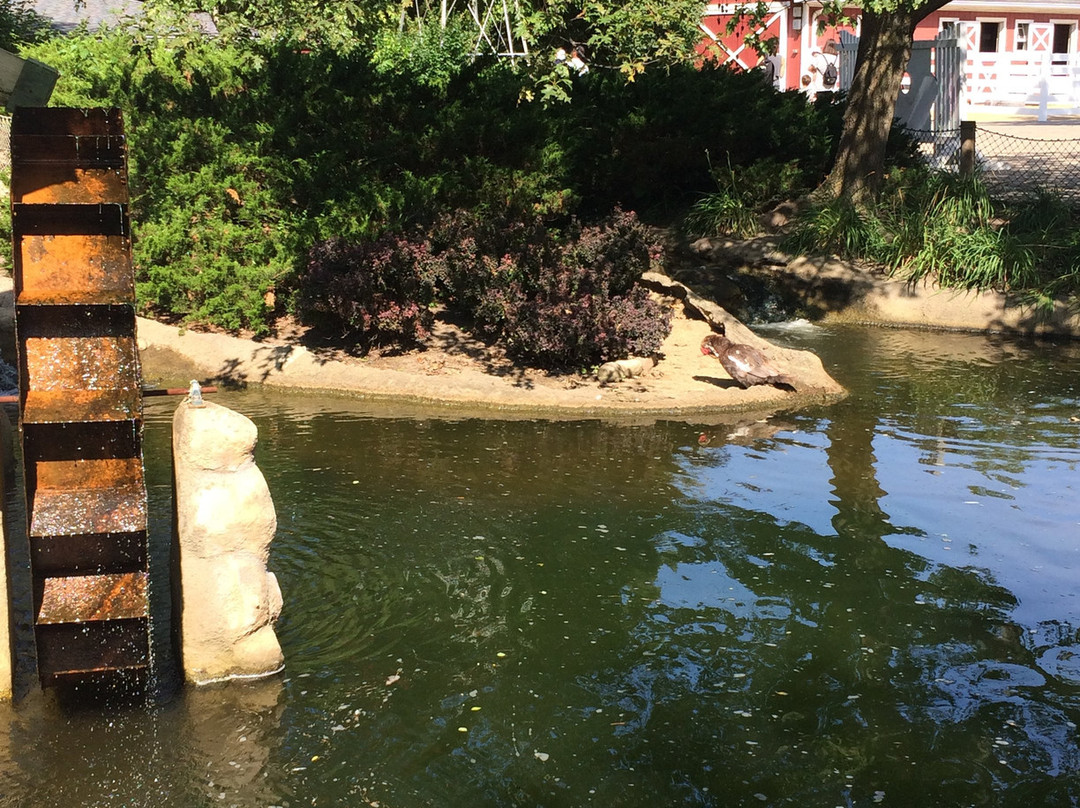 Cosley Zoo-Wheaton必去景点