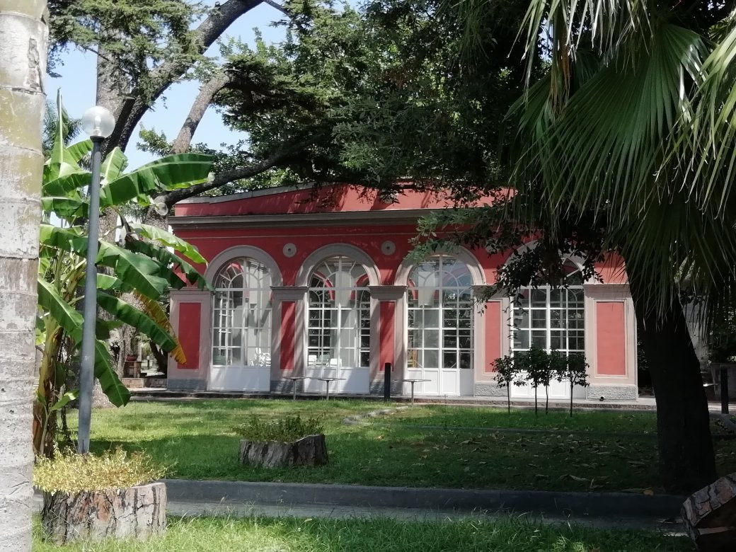 Piano di Sorrento旅游景点-Museo Archeologico George Vallet