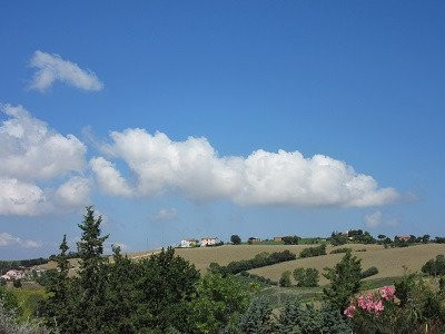 A3Passi Agriturismo tra gli Ulivi主图