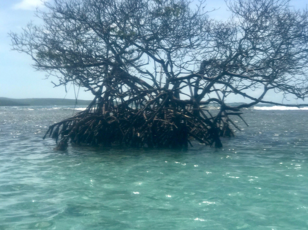 Cayo Caracoles景点图片
